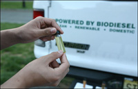 Biodiesel Fuel