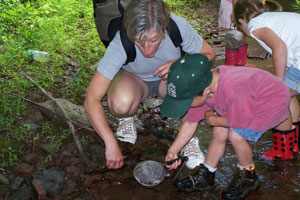 Stream Stomp Photo