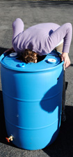 Photo of person with head in rain barrel